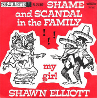 shawn-elliott---shame-and-scandal-in-the-family