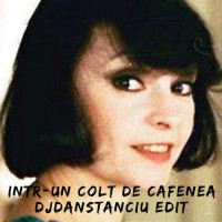 marina-voica---intr-un-colt-de-cafenea-(dan-stanciu-edit)