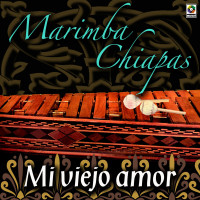 marimba-chiapas---algún-día-en-algún-lugar