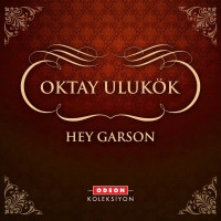 oktay-ulukök---yalnız-adam