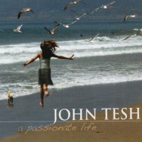 john-tesh---desert-rose