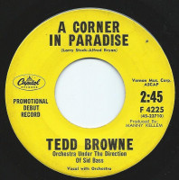 tedd-browne---the-everglades