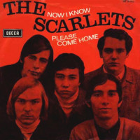 the_scarlets