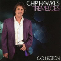 chip-hawkes---my-little-lady