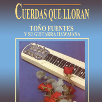 toño-fuentes-y-su-guitarra-hawaiana---sombras