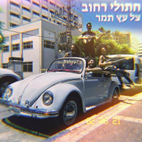 חתולי-רחוב---צל-עץ-תמר