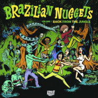 cover_brazilian_nuggets1