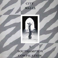 cover_city_walls80