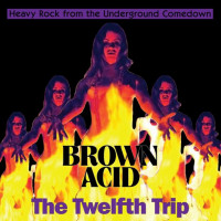 cover_brown_acid12