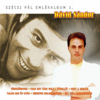 dávid-sándor---hagyj-elmenni