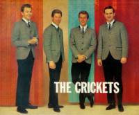 the_crickets