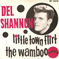 del_shannon63