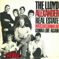 the_lloyd_alexander_real_estate