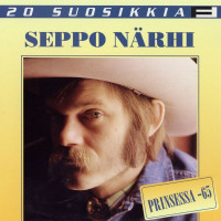 seppo-närhi---koivu-ja-tähti