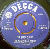 the-nashville-teens---little-bird