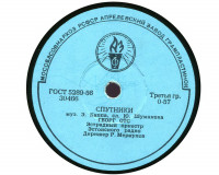 291-sputniki-(georg-ots)