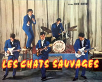 les_chats_sauvages