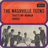 the_nashville_teens