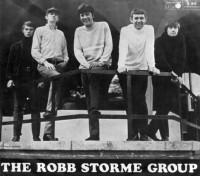 the_robb_storme_group