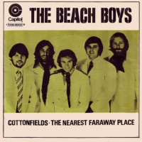 the_beach_boys