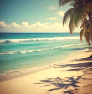 screenshot_20250130_200547_chrome