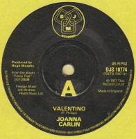 joanna-carlin---valentino