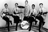 the_surfaris