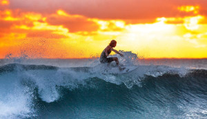 surfer-wave-sunset-the-indian-ocean-390051-(1)