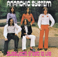 anarchic_system