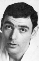 brute_force-stephen_friedland-