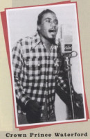 crown_prince_waterford