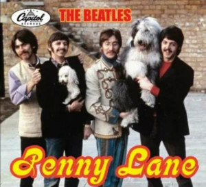 screenshot_20250301_191903_yandex-start