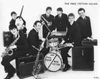 the_mike_cotton_sound