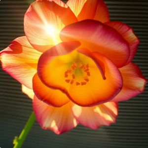 screenshot_20250408_113024_chrome