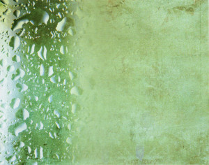 a-day-without-rain-2000-06