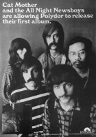 cat_mother_the_all_night_new