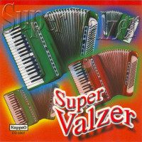 wolmer-beltrami---i-pattinatori