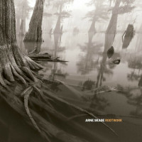 arne-scage---viola-lee