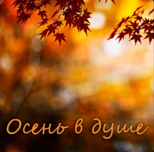 screenshot_20250507_082241_yandex-music