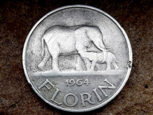 photo_2025-05-16_08-07-01