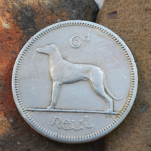 photo_2025-05-06_06-01-45