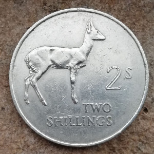 photo_2025-05-29_08-19-58