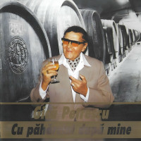 gica-petrescu---hai-sa-bem-un-paharel
