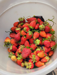 photo_2025-06-11_09-04-34