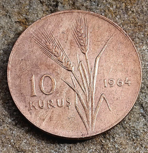 photo_2025-06-08_06-48-19