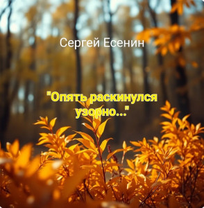 screenshot_20250624_144832_chrome