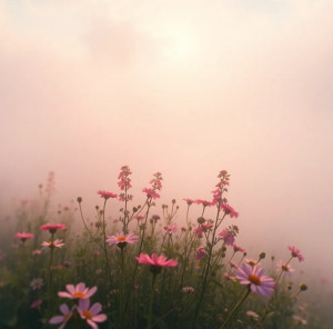 screenshot_20250624_150233_chrome