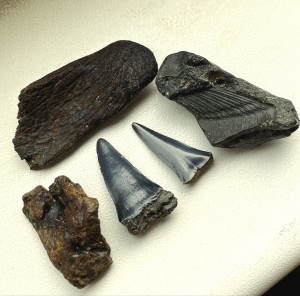 photo_2025-06-26_08-18-39