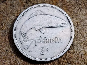 photo_2025-06-29_07-26-16