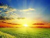 104881_dream-spring-2012-spring-sun-wallpapers-hd-wallpapers-96656_2560x1600_h